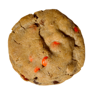 REESES